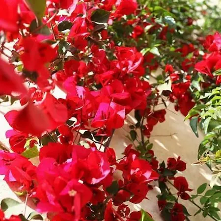 Astrinos Simple Cozy Comfortable Close To The Hriszí Aktí Haniá